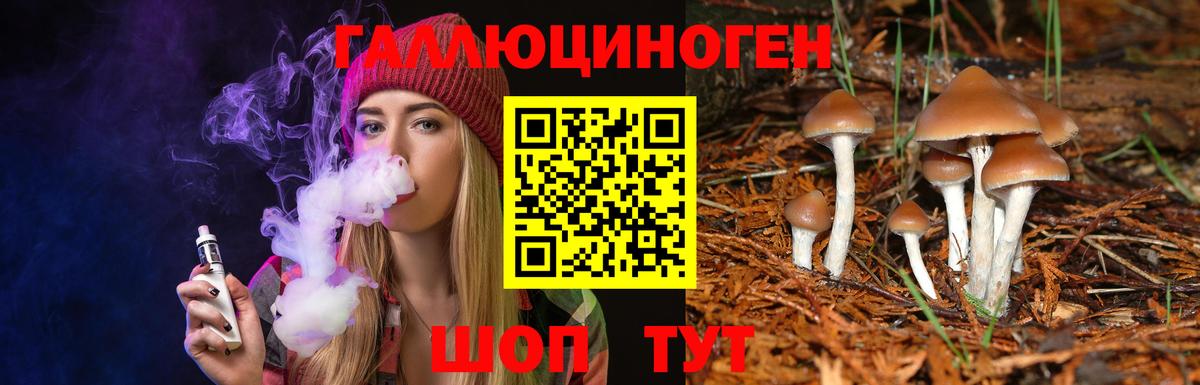 Нижнеудинск  Галлюциногенные грибы мицелий  Вход с VPN 